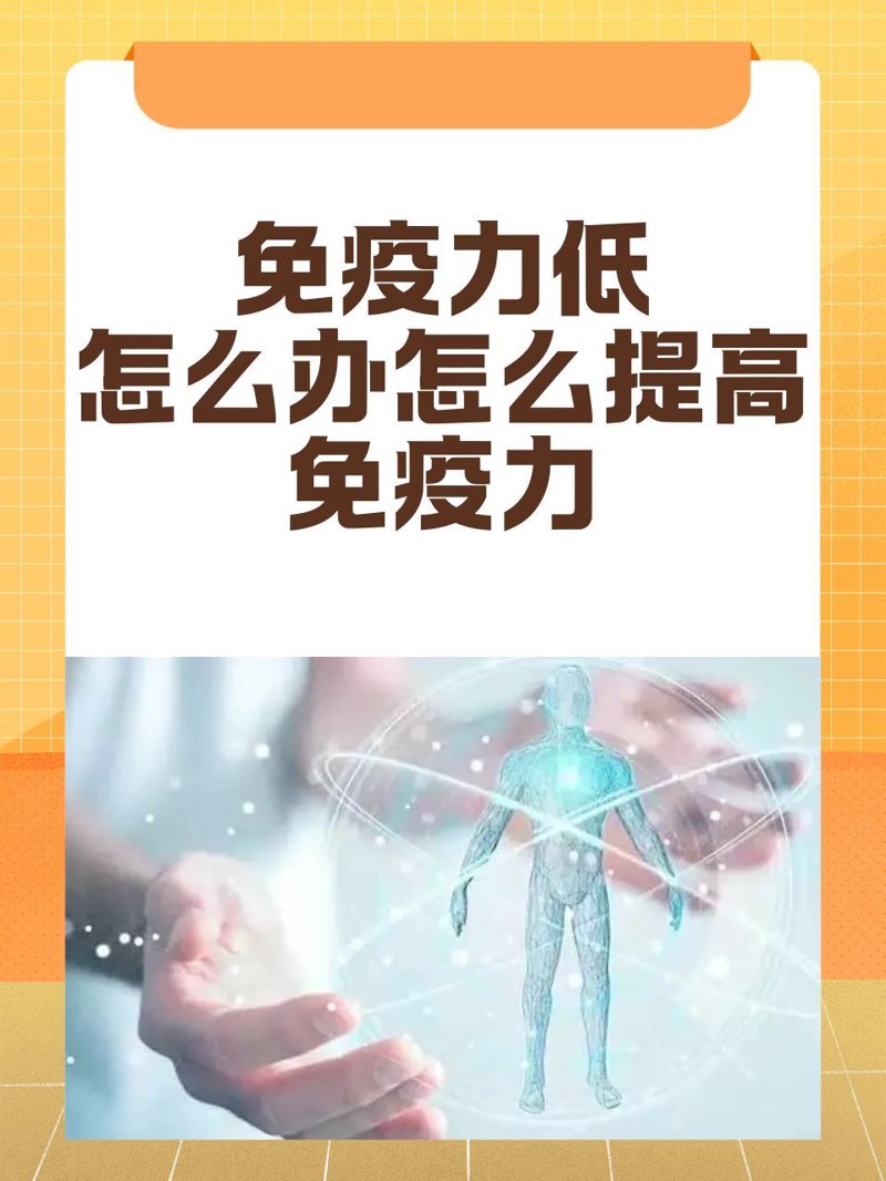你知道“immune regulation”在免疫调节中的角色吗?今天我们就来聊聊这个话题。