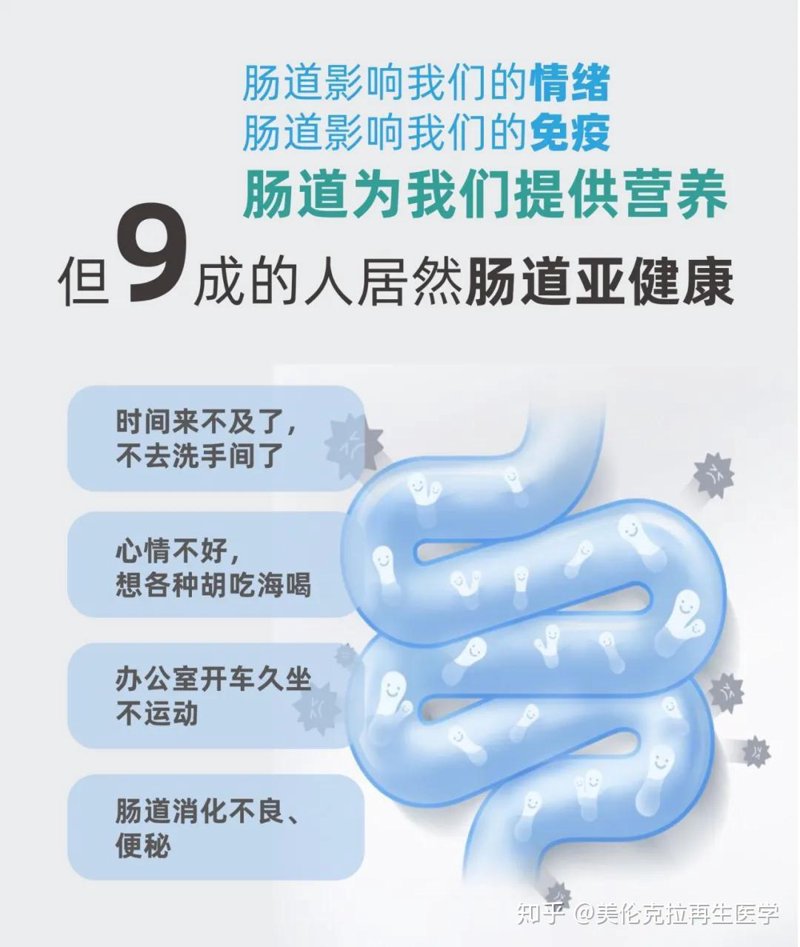 什么是免疫调节?——从“免疫调节英文”看人体的自我保护机制